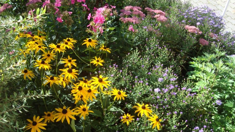 Flowers, &copy; Fam. Sommer-Leitner