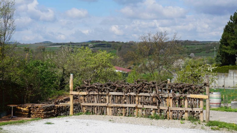 Pitch at the Czipin winery, © Familie Czipin