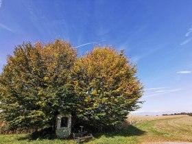 Kapellenbildstock Pratsturm, &copy; Brigitte Hofschwaiger