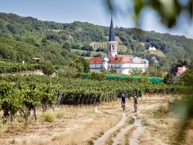 Weingartenradweg, &copy; Nieder&ouml;sterreich Werbung / Hauke Dressler