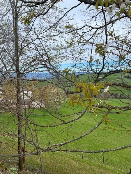 Pohled na St. Leonhard am Walde na jaře