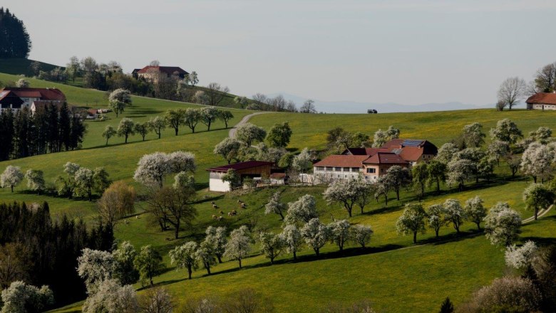 Photo point St. Peter in der Au, © schwarz-koenig.at