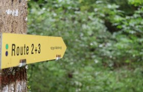 Směrov&aacute; &scaron;ipka pro turistick&eacute; stezky, &copy; "Tut Gut!"