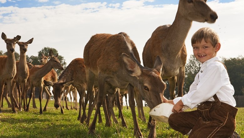 Patrik feeding the deer, &copy; Langthaler