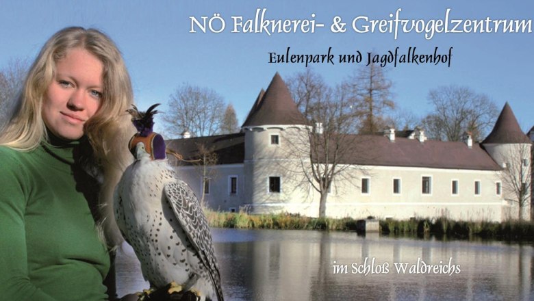 Dolnorakouské středisko sokolnictví a dravců, © NÖ Falknerei- und Greifvogelzentrum