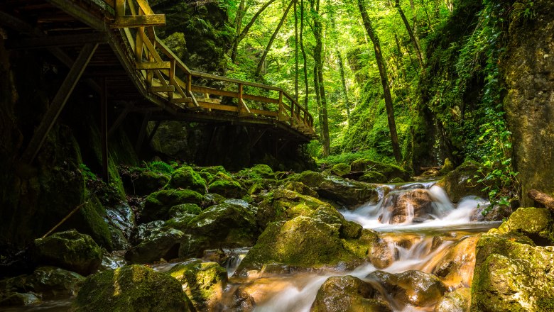 Turistika ve stínu rokliny Johannesbachklamm, © Wiener Alpen / Christian Kremsl