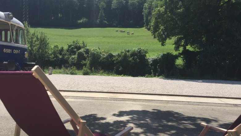 Lounger with a view of the forest and meadow, © M. Schorn