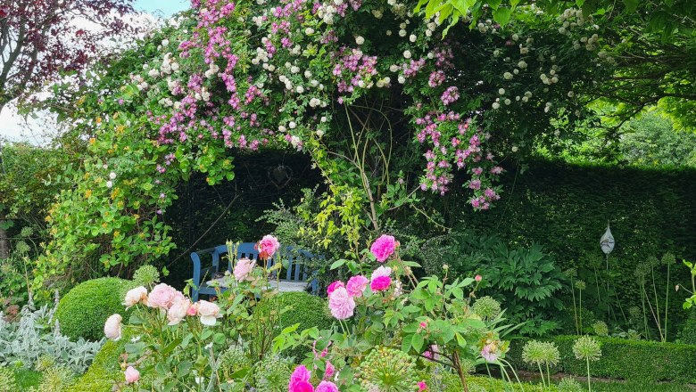 Rose arbor, © Schaugarten am Pulverturm