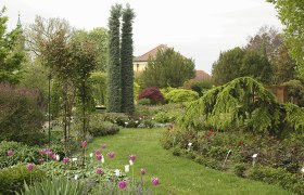 Starkl nursery, © Gärtnerei Starkl