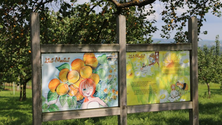 Apricot trail signage in Lilli's apricot garden, © Familie Aufreiter