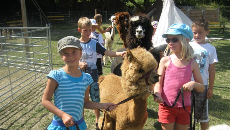Alpakawanderung, © Alpaka Freizeitpark