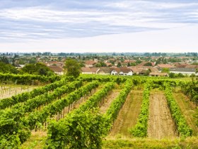 Gedersdorf im Kremstal, &copy; Kremstal