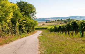 tut gut Wanderweg, &copy; Markus Heidegger