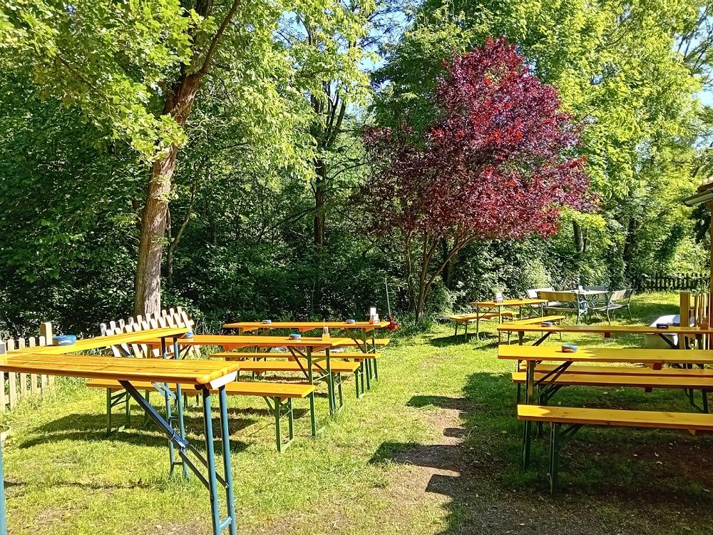 Pivní zahrádka s prázdnými dřevěnými lavicemi a stoly pod stromy.