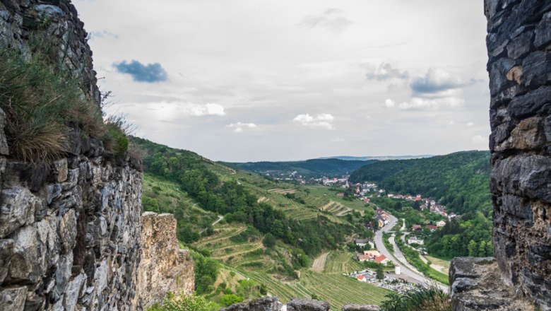 Burgruine Senftenberg 6, © Verein zur Erhaltung der Burgruine Senftenberg