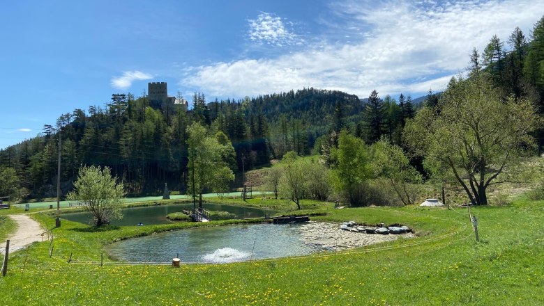 Relaxen am Wasser für Forellenhofgäste, © Wiener Alpen