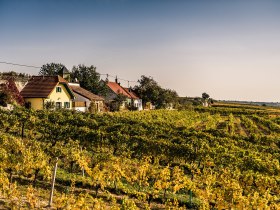 Zvlněn&eacute; kopce jsou porostl&eacute; zlatav&yacute;mi li&aacute;nami, kter&eacute; z&aacute;ř&iacute; v tepl&eacute;m podzimn&iacute;m světle. Půvabn&eacute; tradičn&iacute; domy lemuj&iacute; krajinu a zvou v&aacute;s, abyste si vychutnali klid a kr&aacute;su př&iacute;rody. Ide&aacute;ln&iacute; m&iacute;sto k odpočinku a nadechnut&iacute; se čerstv&eacute;ho vzduchu.