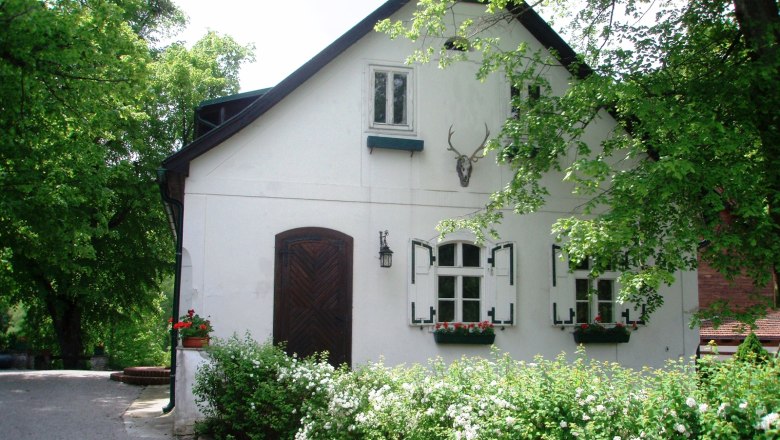 Bílý venkovský dům se zelenými okenicemi a jeleními parohy na fasádě, obklopený stromy a keři.