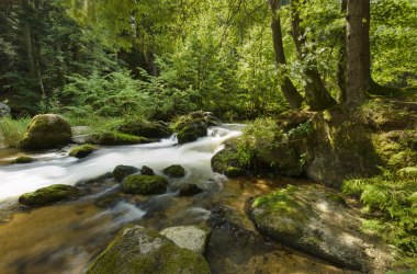 Wandern am Wasser , © Waldviertel Tourismus, Matthias Schickhofer