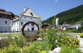 Amonpark Lunz am See armchair, © Marktgemeinde Lunz am See