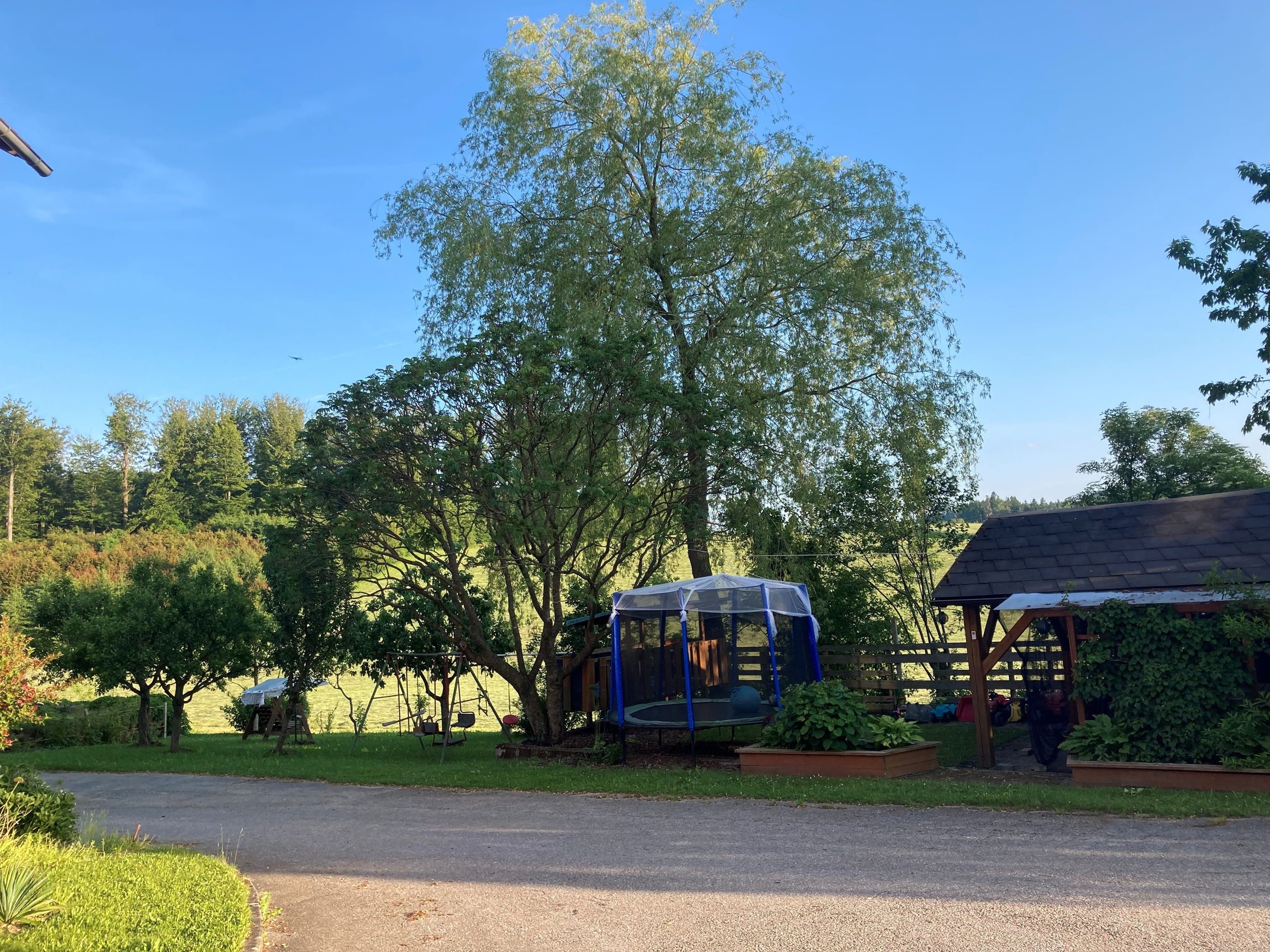 Zahrada s trampolínou, letním domkem a stromy pod modrou oblohou.