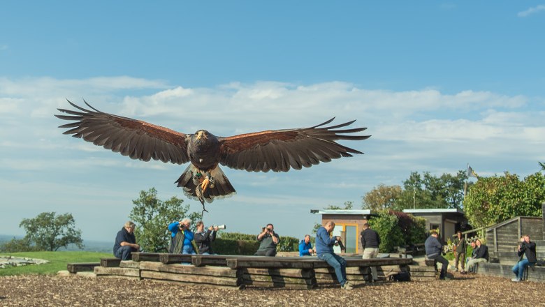 Flugvorführung, © topshot.co.at