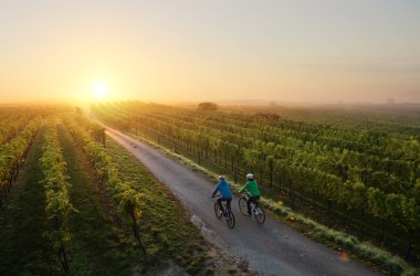 Cyklostezka Traisental-Radweg, © (c) Mostviertel Tourismus/schwarz-koenig.at