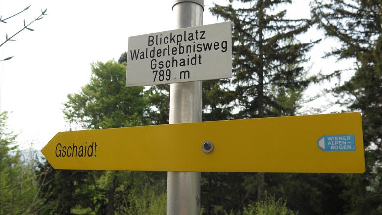 Směrovka k vyhlídce na lesní zážitkovou stezku Gschaidt, 789 m, se žlutou značkou a logem Vídeňských Alp.