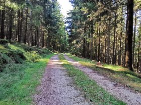 Diebsweg, Nr. 43, &copy; Gemeinde Gutenbrunn