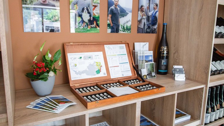 W.E.R.O Nechte promluvit v&iacute;no, &copy; Veronika Henkelova