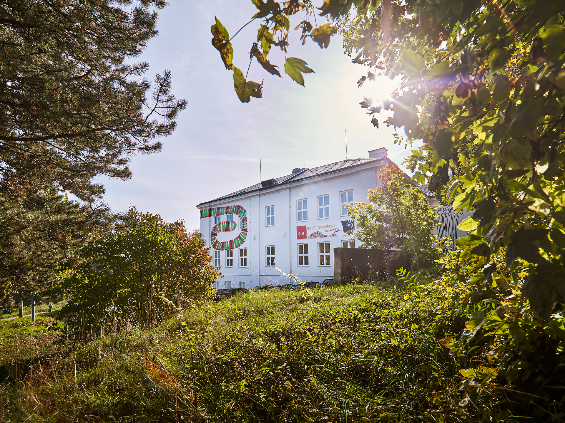 Umgeben von üppigem Grün und der sanften Hügellandschaft des Wienerwaldes, strahlt das Zentrum für Art Brut eine einladende Atmosphäre aus. Die harmonische Verbindung von Natur und Kunst lädt Besucher dazu ein, in eine Welt voller kreativer Inspiration einzutauchen.