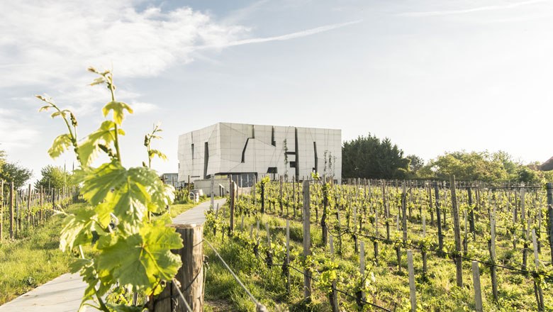 země vína Dolní Rakousko překvapí mimo jiné svými moderními vinařstvími a hotely. LOISIUM., © Robert Herbst