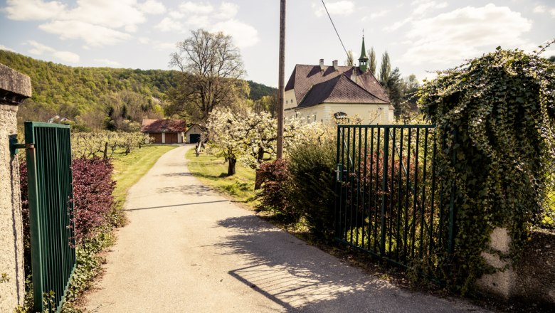 Einfahrt in den Hof, © Weingut Faltl