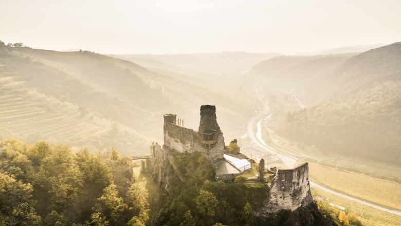 Herbstlandschaft mit Ruine Senftenberg, © Robert Herbst