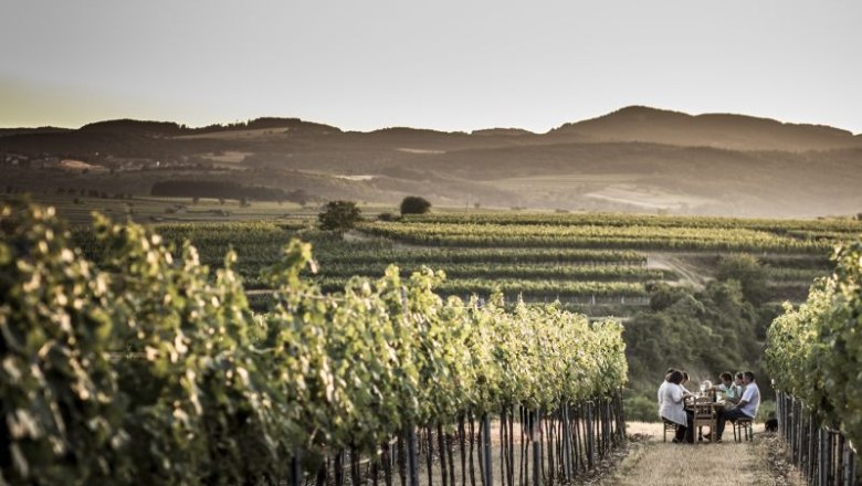 Rosshimmel vineyard, © Nimo Zimmerhackl