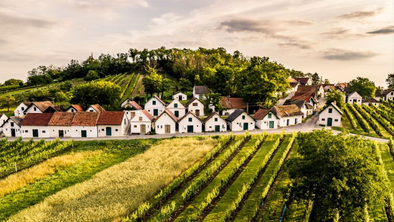 The Gallows Hill, © Weinstraße Weinviertel / Robert Herbst