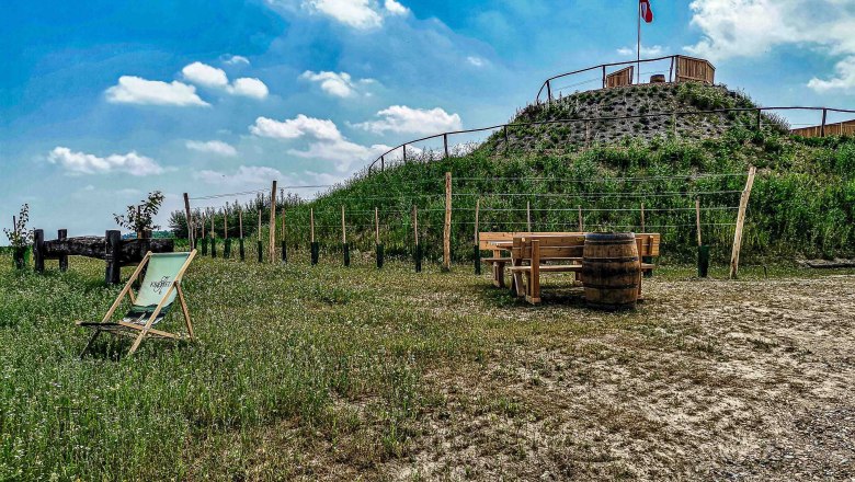 Vineyard snail Platzl, &copy; HanSu.Foto.Design