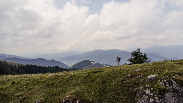 Nechte svou mysl (a nohy) putovat na dálkové túře., © Niederösterreich Werbung/Franziska Consolati