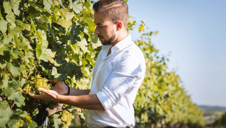 Manuel Tanzberger, © Weingut Tanzberger
