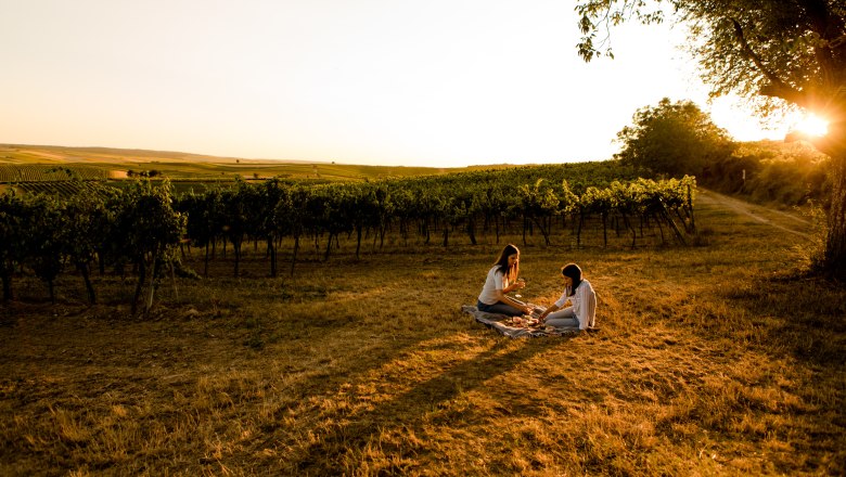 Vychutnejte si piknik ukrytý mezi vinicemi., © Weinviertel Tourismus/Doris Schwarz-König