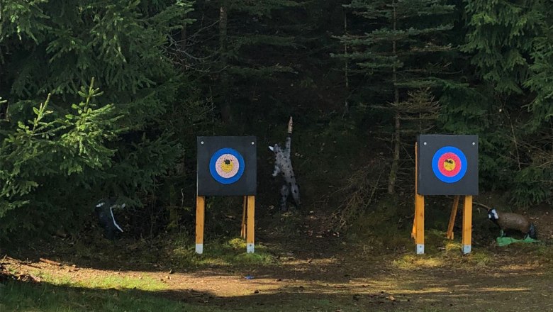 Bullet hole, © Archery Yspertal