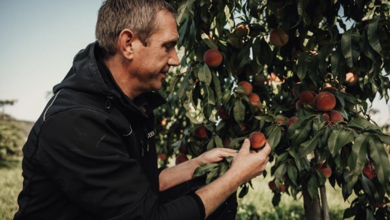 Ovocn&aacute;řsk&aacute; farma Altenriederer, &copy; Monika Jungwirth, Karma & Pitch