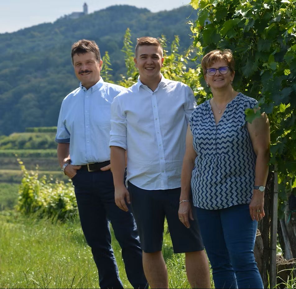 Vinařství a heuriger Ettenauer