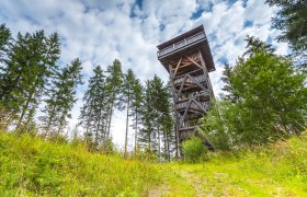 Vyhl&iacute;dkov&aacute; věž na tematick&eacute; stezce D&iacute;lna, les a voda