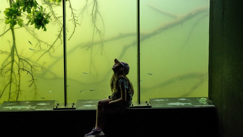 Donau Garten schlossORTH-c-Donau Nieder&ouml;sterreich_Claudia Schlager (3), &copy; Claudia Schlager