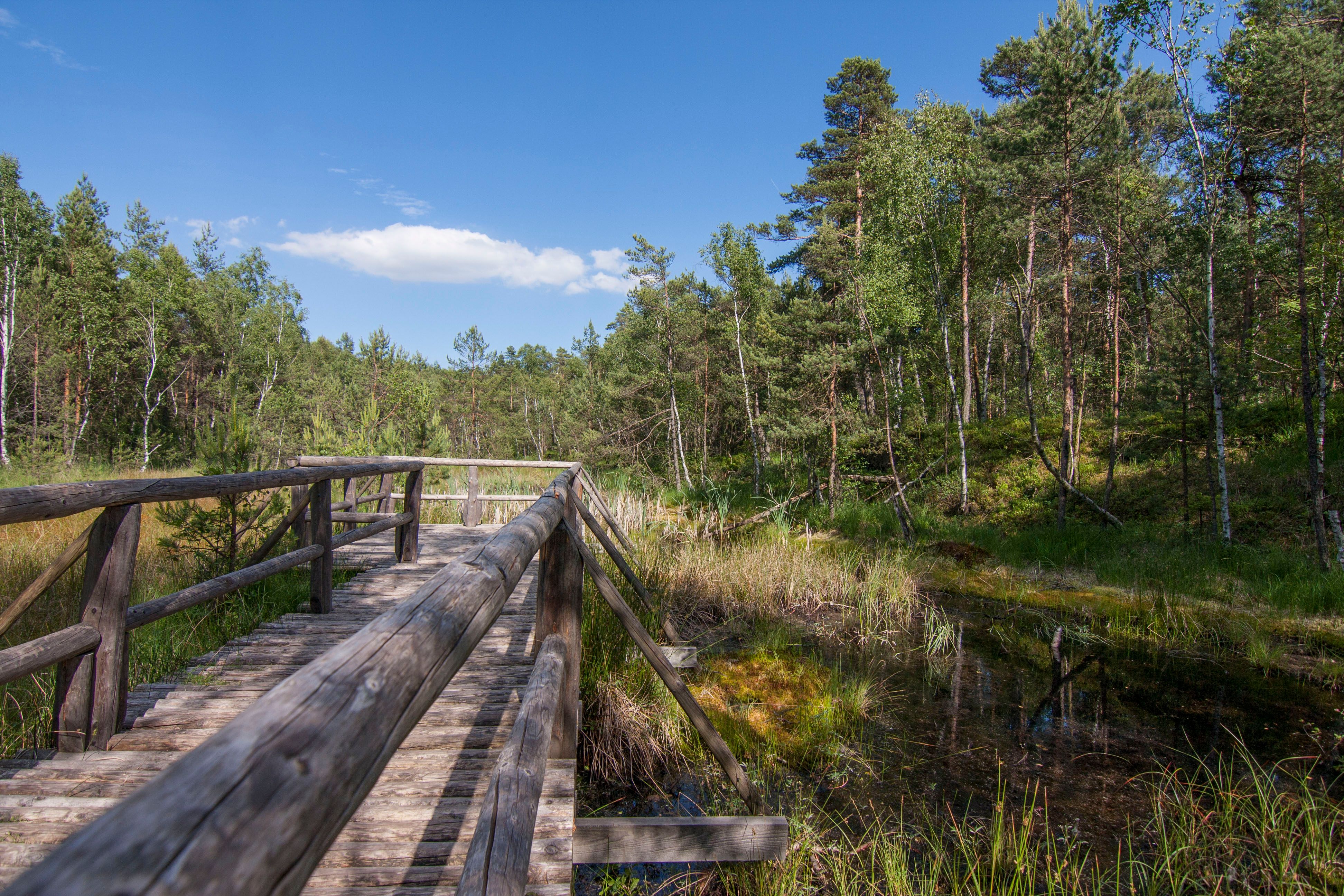 Naturpark Hochmoor Schrems