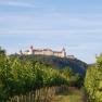 Goettweig Abbey with vineyards, © Eveline Gruber