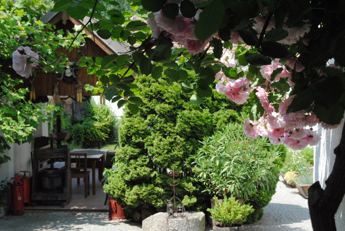 Idylická zahrada s kvetoucími růžemi, dřevěným stolem a malým dřevěným domkem v pozadí.