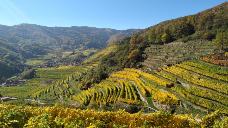 Unterwegs am Panoramaweg Spitzer Graben, © Donau NÖ: Heidi Schauer-Leberzipf