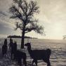 Winter in llama hiking country, © lamawanderland